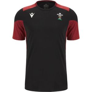 Trainingsshirt Pays de Galles 6NT 2023