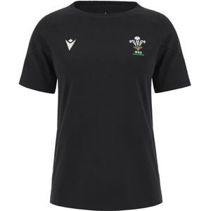 Damestrui Pays de Galles 6NT Travel 2023