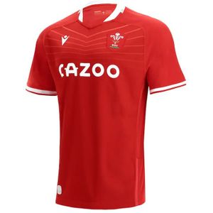 Thuisshirt Pays de Galles poly 2021/23