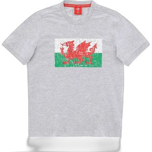 Kinder-T-shirt Pays de Galles Rugby XV 2020/21