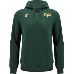 Ospreys hoodie Travel 2024/25