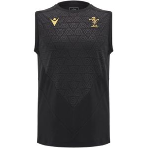 Mouwloos trainingsshirt Wales 2024