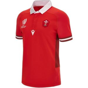 Rugby Wereldbeker 2023 Voetbalshirt Wales