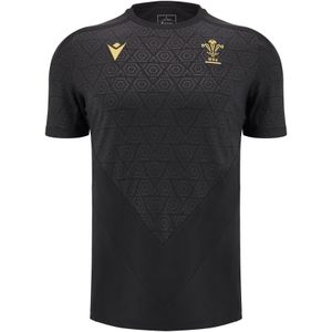 Wales trainingsshirt 2024