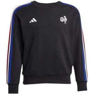 Sweater met lange mouwen XV de France Fanwear Crew