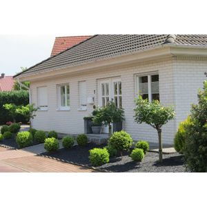 Basalt split 8-16mm