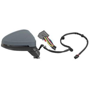 Buitenspiegel Audi Diederichs 1020124