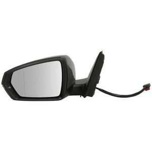 Buitenspiegel Volkswagen Blic 5402-04-1984367p