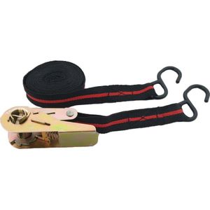 Weber Tools Spanband 5m x 24mm met ratel en zware haken