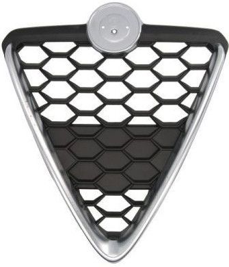 BLIC - 6502-07-0105999P - Radiatorrooster