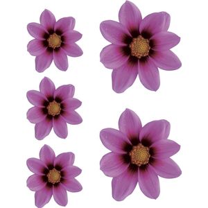 Sticker Flower Garden - Roze - 2x 16x15cm + 3x 8,5x8cm