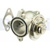 EGR-klep - Audi, Seat, Skoda, Volkswagen - Delphi Eg10508-12b1