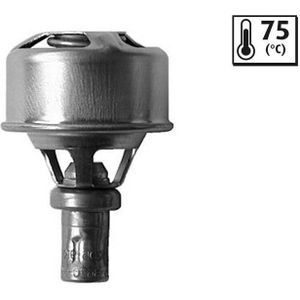 Thermostaat, Koelvloeistof Renault Valeo 819921