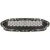 Radiateurgrille Ford Blic 6502-07-2566911p