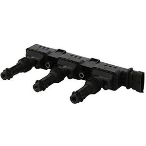 Bobine Opel Borgwarner Beru Zs359