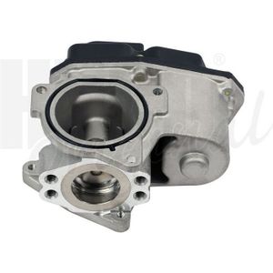 Egr-Klep Audi, Seat, Skoda, Volkswagen Hitachi 138460