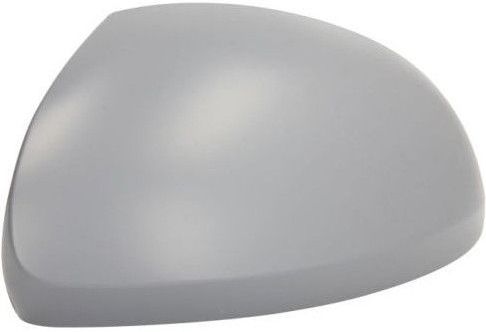 BLIC - 6103-10-2002265P - Behuizing - Buitenspiegel