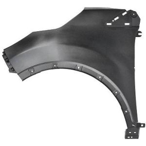 Spatbord Renault Diederichs 4406007