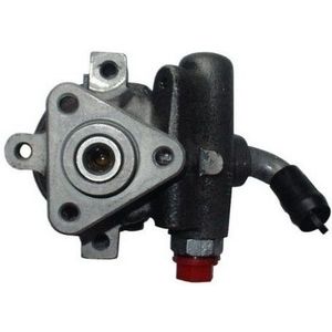 Fiat - Spidan 54379 - Servo Pomp - Hydraulisch - Bedrijfsdruk 80 bar