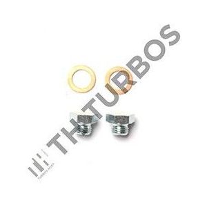 Turbocharger Nissan Turbos Hoet 1101766