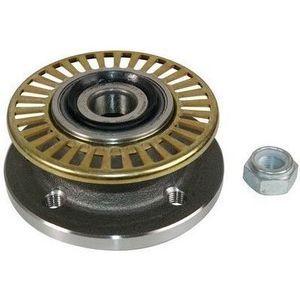 Wielnaaf Renault Abs 200326