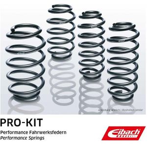 Chassis, Veren Seat, Skoda Eibach E10-79-009-01-22