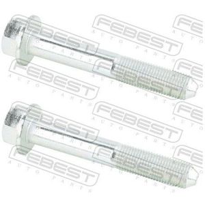 Bevestigingsbout, Wieldraagarm Hyundai, Kia, Mitsubishi, Nissan, Renault Febest 0498-002-Pcs2