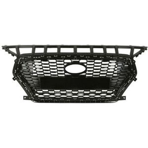 Radiateurgrille Hyundai Blic 6502-07-3137991p