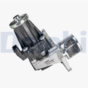 Egr-Klep Dacia, Infiniti, Mercedes-Benz, Nissan, Renault Delphi Eg10566-12b1