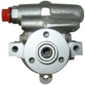 Servo Pomp Renault Spidan 53538