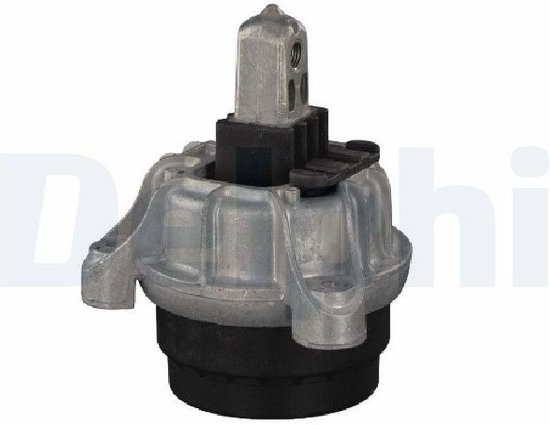 Bmw - Aslichaam-/Motorsteunlager - Delphi Tem253 - Achter