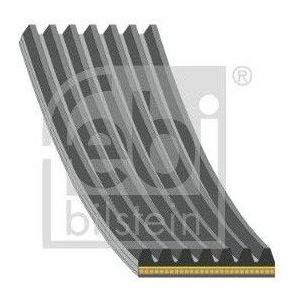 Poly V-Riem Jaguar, Land Rover Febi 192642