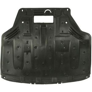 Motorverkleding Ford Blic 6601-05-0000039q