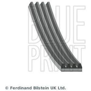 Multi V-Riem Renault, Subaru, Toyota Blue Print Ad04r1155