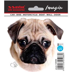 Auto Tattoo Sticker Pug - 11x10,5cm