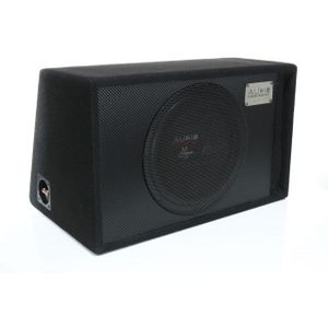 R12 FLAT G EVO + CO-220.1 150Watt RMS