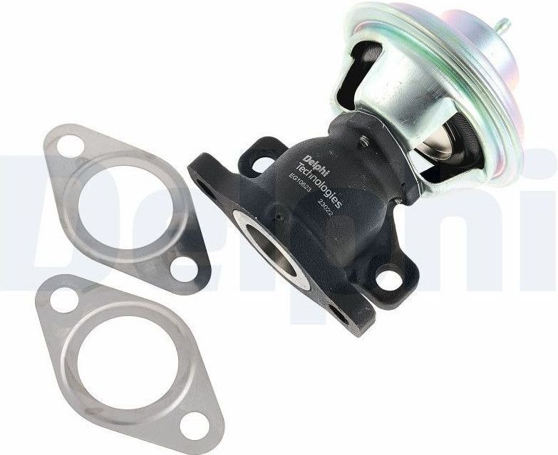 Delphi - Eg10623-12b1 - EGR-klep - Citroen, Fiat, Peugeot