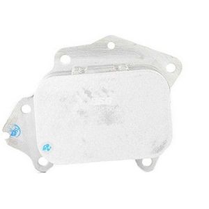 Oliekoeler, Motorolie Citroen, Ford, Mazda, Mini, Peugeot Bsg Bsg 70-506-004