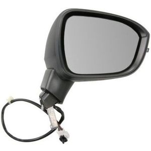 Buitenspiegel Nissan Blic 5402-16-2556311p