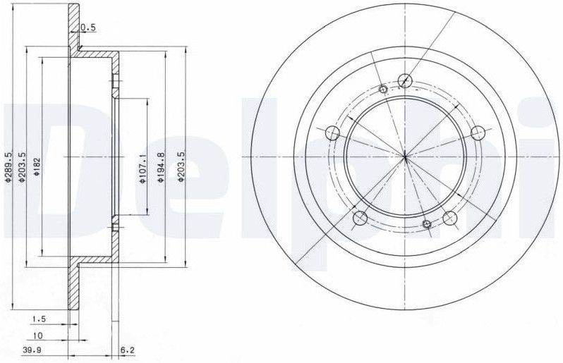 DELPHI - Remschijf - Vooras - 290 mm - 10 mm Dikte - Geolied