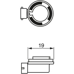 Bosch H11 12V 55W PGJ19-2