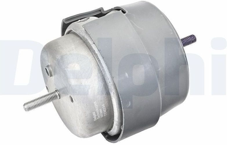 Delphi - Tem234 - Aslichaam-/Motorsteunlager - Voor - Audi, Seat