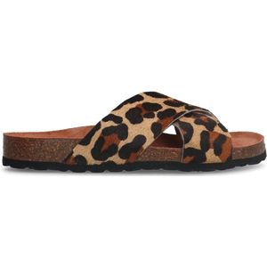 Leopard slippers