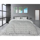 Sleeptime Flanel Gino Dekbedovertrekset - Lits-Jumeaux - 240 x 200/220 + 2 kussenslopen 60x70 - Grijs