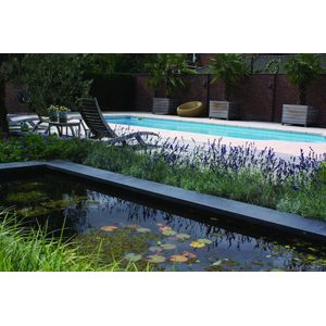 Natuursteen vijverrand Basalt 100x30x3cm