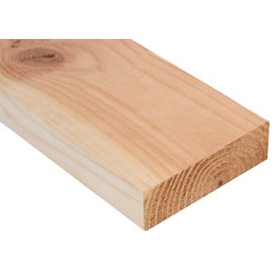 Lariks Douglas balk 4.5x16x300cm Glad geschaafd