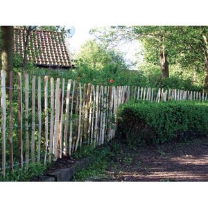 Tuinhek Engels Kastanjehout Op Rol 460x180cm
