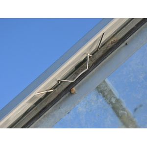 Royal Well Glasklemmen voor tuinkas - set 20 stuks