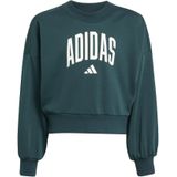 Aurora Ivy - Sweater - Ronde Hals - 70% Katoen, 30% Polyester