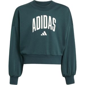 Aurora Ivy - Sweater - Ronde Hals - 70% Katoen, 30% Polyester